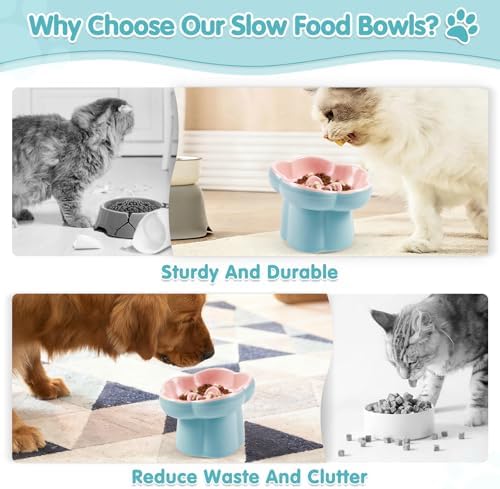 Cat Slow Feeder Bowl Set,1 Pcs Pastel Series Cat Plate for Dry and Wet Food - Image 3