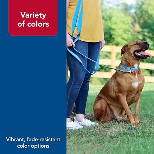 Coastal Pet Double-Ply Dog Leash - Bolt Snap Attachment to Collars and Harnesses - Nylon Dog Walking Leash for Small, Medium and Large Dogs - Purple - 1" x 6' - Image 5