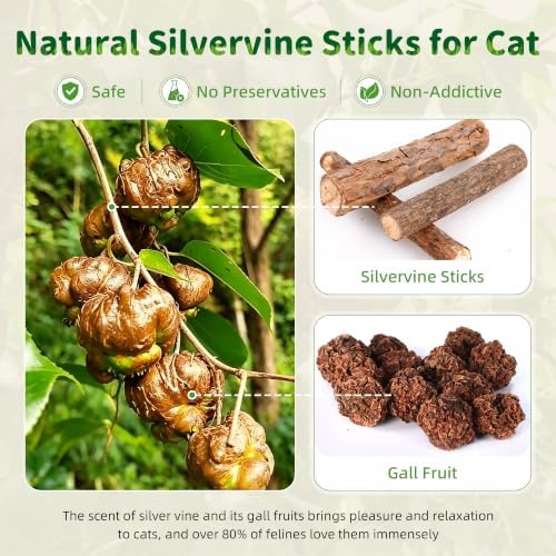 GBSYU Silvervine Sticks Cat Kitten Chew Toys for Indoor Cats Teeth Cleaning - Image 2