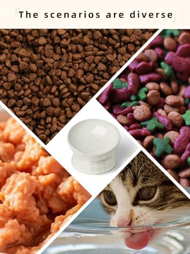 Ceramic Cat Food Bowl, 15° Tilted Raised Cat Food Bowl 5 oz (Vintage White) - Image 5
