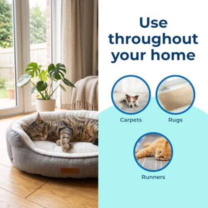 Carbona 2-in-1 Oxy-Powered Pet Stain & Odor Remover (22 Fl Oz, 1 Pack), Carpet Spot Cleaner Removes Urine Odor, Lifts Mud & Vomit Stains, Prevents Resoiling - Image 6
