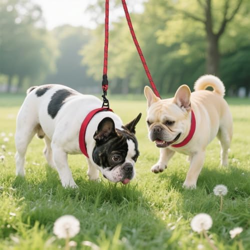 Taglory Double Dog Leash Coupler for Two Dogs, 1/3" Lightweight Dual Leash Extension for Small and Medium Dogs, No Tangle 360° Swivel, Reflective Rope, 30 Inch, Red - Image 6