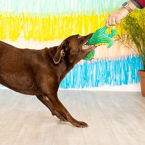 Fringe Studio Plush Dog Toy, Thorny But Cute, PetShop Collection (314156) - Image 4