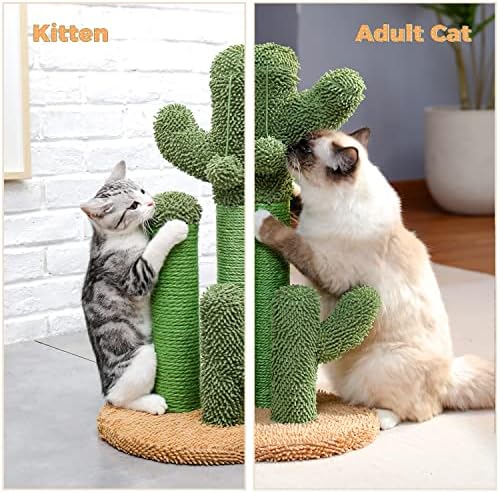 PAWZ Road Cactus Cat Scratching Post 23”Cat Scratcher with Toy Ball - Image 6