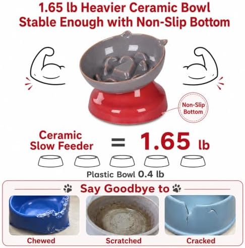 Ceramic Slow Feeder Cat Bowl, 15-Degree Tilted Non-Slip - Image 5