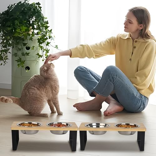 Elevated Cat Bowl, 2 PCS 15°Tilted Cat Bowl Stand with 2 Stainless Steel Bowls for Indoor Cats and Pet, Raised Cats Bowls for Food and Water - Image 5