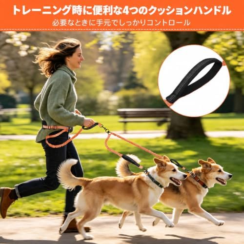 Hands Free Double Dog Leash, 4 Reflective Padded Handles, Adjustable Waist Belt 27-51", Shock-Absorbing Bungee, 360° Swivel Clips, for Small, Medium & Large Dogs, Walking Jogging Running - Image 4