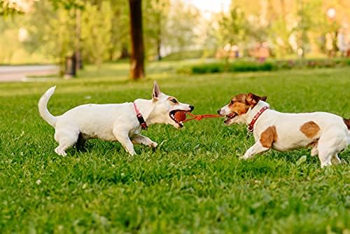 Dog Training Ball on A Rope Rubber Dog Rope Toys Ball with Handle for Tug of War K9 Training Rewards for Belgian Malinois Gifts, 6cm in Diameter for Medium Dogs 30-60 Lbs, Pack of 4 - Image 5
