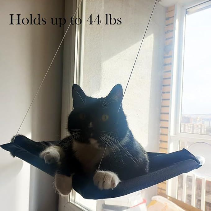 Cat Window Hammock Perch Cat Safety Sunny Bed with Durable Heavy Duty Suction Cups Resting Sunny Window Seat for Indoor Cats Sleeping Space Saving Window Mounted Holds Up to 30lbs (Black)…