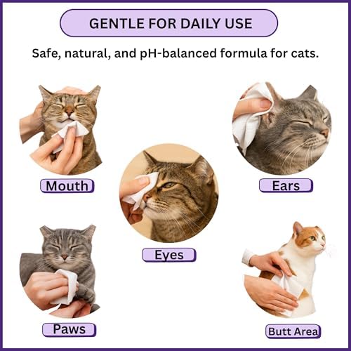 Aurora Pet Wipes – 100% Natural, Plant-Based Hypoallergenic Grooming Wipes for Dogs & Cats – Extra-Durable, Large & Thick for Effortless Cleaning (Lavender, 100 Count) - Image 6