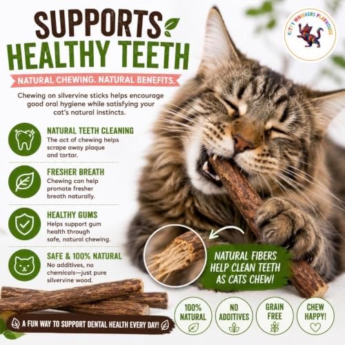 Extra Thick Silvervine Sticks for Cats, Natural Matatabi Cat Chew Sticks, 10 Pack, 8–12mm Thick, 4.75" Long, Catnip Alternative, Dental Chew Toy by Kitty Whiskers Playhouse - Image 6