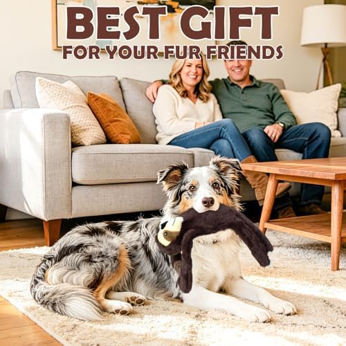 No Stuffing 2-Pack Dog Toys, Squeaky Plush with Crinkle Toy for Medium Pets - Image 7