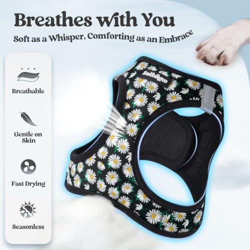 rabbitgoo Dog Harness Medium Sized and Leash Set, Step-in Puppy Pet Vest - Image 4