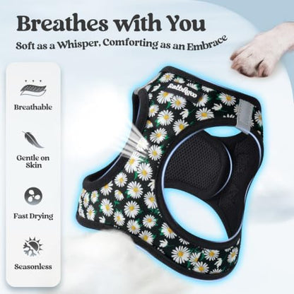 rabbitgoo Dog Harness Small Sized and Leash Set, Step-in Puppy Pet Vest - Image 4