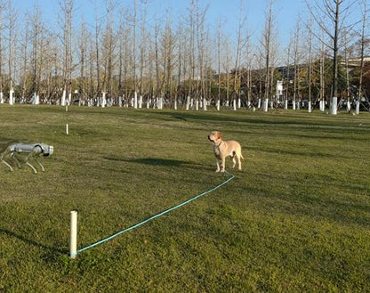 30FT Dog Tie Out Leash Long Tether 15ft 20ft 50ft Rope Check Cord - Image 6