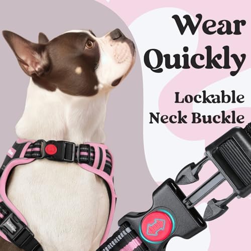 rabbitgoo Dog Harness for Large, Updated Easy On & Off with 3 Buckles - Image 2