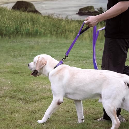 Wagtime Club Heavy Duty Double Handle Dog Leash for Large Medium Small Dogs - Image 6