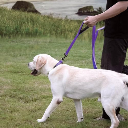 Wagtime Club Heavy Duty Double Handle Dog Leash for Large Medium Small Dogs - Image 6