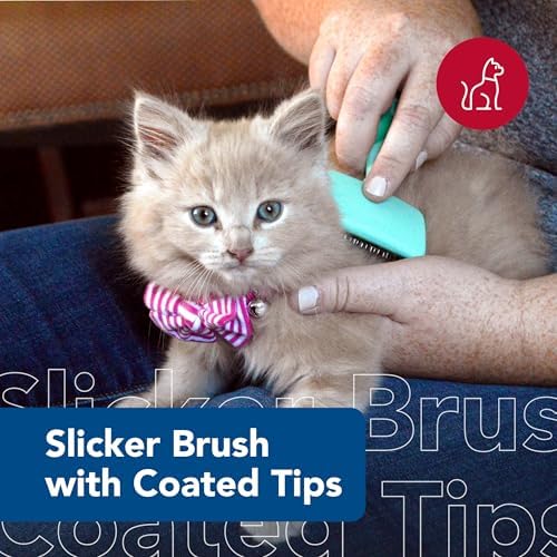 Coastal Pet Li'l Pals - Kitten Slicker Brush with Coated Tips - Image 2