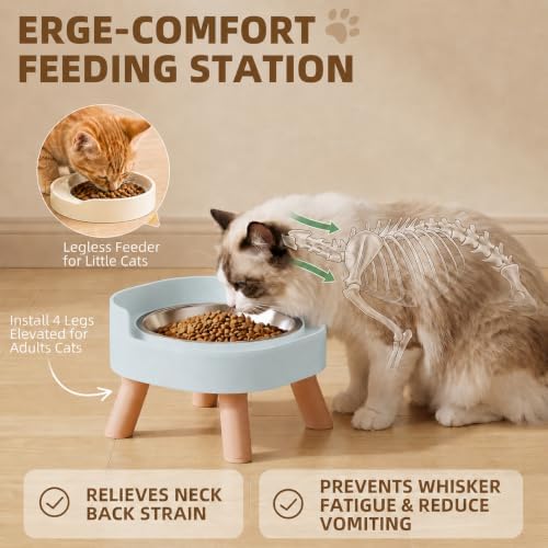 Elevated Cat Bowls, 2P Raised Cat Food and Water Bowl Set for Indoor Cats, Splash Proof with 2 Stainless Steel Pet Food Bowls for Cats ＆ Puppies, Whisker Friendly and Dishwasher Safe - Blue - Image 3