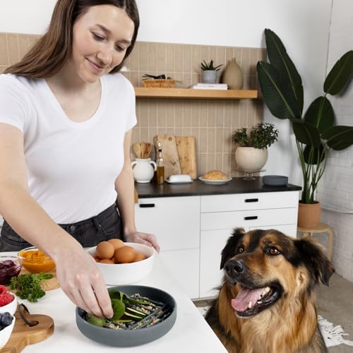 Slow Feeder Dog Bowl - Silicone Dog Bowl, Medium, 7.5" x 1.5" - Charcoal - Image 6
