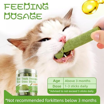 Cat Natural Grass Teething Sticks, Kitten Chew Stick for Hairball Removal - Image 2