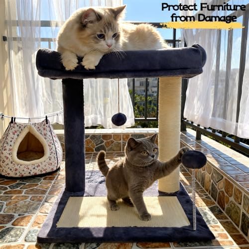 Cat Tree, 19.69" H(50cm) Cat Scratching Post with Cat Bed, Scratching Posts for Indoor Cats with Two Plush Balls Toy, Small Cat Tree for Kittens/Cats Playing and Relaxing - Image 2
