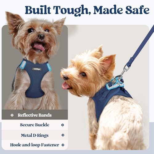 rabbitgoo Dog Harness Medium Sized and Leash Set, Step-in Puppy Pet Vest - Image 5