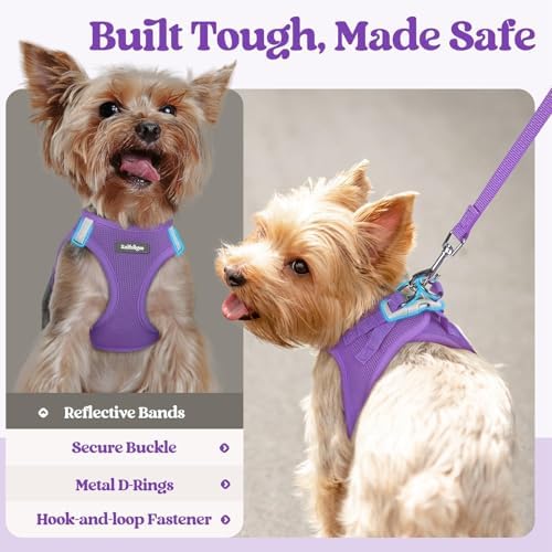 rabbitgoo Dog Harness Medium Sized and Leash Set, Step-in Puppy Pet Vest - Image 5