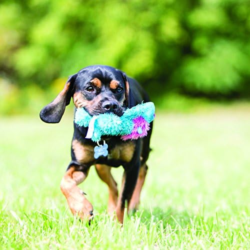 Kong Cozie Ali Alligator Plush Dog Toy, for Small Dogs - Image 2