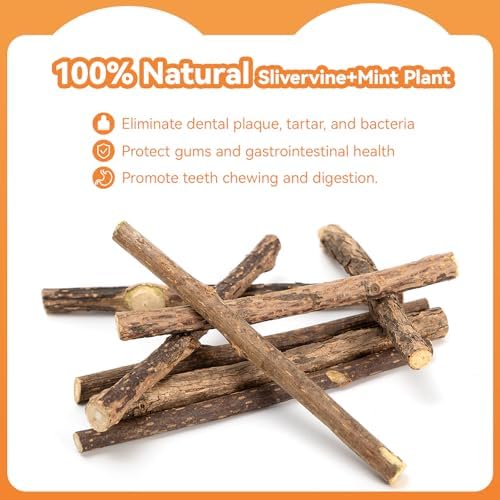 6Pcs Silvervine Sticks for Cats with Catnip Bag, Cat Chew Toys for Teeth Cleaning and Anxiety Relief, Natural Dental Care Kit for Indoor Cats & Kittens - Image 6