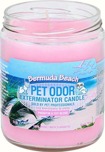 0 Pet Odor Exterminator Candle by SPECIALTY+PET+PRODUCTS