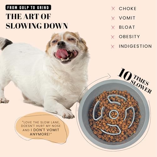 AVERYDAY Slow Feeder Dog Bowls for Medium Breeds Fits Raised Feeding Station, Puzzle Dog Food Bowls to Slow Down Eating, Dogs Feeding Bowl with Non-Slip, Slows Feeder Pet Bowl for Wet and Dry Food - Image 2