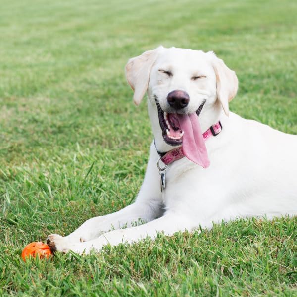Chuckit! Air Fetch Ball Dog Toy, XL 3.5in, for Dogs Over 100lbs - Image 3