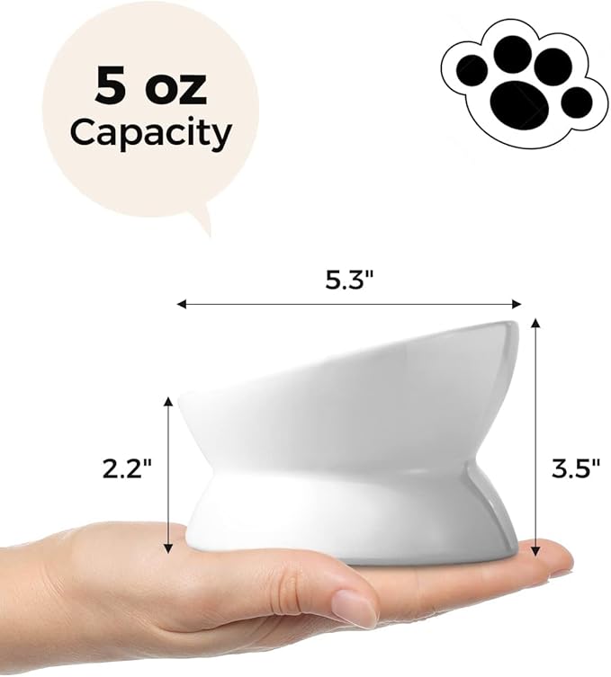 LoeJan Elevated Cat Food Bowl, 5 Oz Ceramic Raised and Tilted Water Bowl, Anti Vomiting and Protect Pets' Spines Dishes for Small Dog, Fat Faced Cat, Kitten (White, 2 Pack)