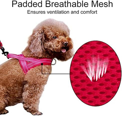 Plutus Pet No Pull Dog Harness for Large Dogs, Breathable Mesh Padded - Image 3