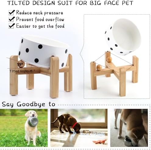 Petygooing Elevated/Raised 15°Slanted Ceramic Dog Bowl for Small and Medium Breeds, Tilted Anti Slip Pet Feeding Bowl,Food Water Dish with Stand for Cats and Dogs (28 OZ/3.6 Cups) Black Dot - Image 5