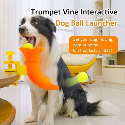 Silent Dog Self-Serving Ball Launcher Bougainvillea Pet Interactive Ball Launcher Durable PP Material Dog Training and Boredom-Busting Tool