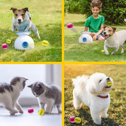 HOCTRAKA, NICERINC PET X-Small Dog Tennis Balls Dog Toys Ball 1.5" Pack of 12, Fit Ball Launchers - Image 5