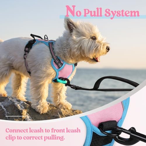 rabbitgoo Dog Harness, No Pull for Small Dogs with 2 Leash Clips, Pet Vest - Image 5