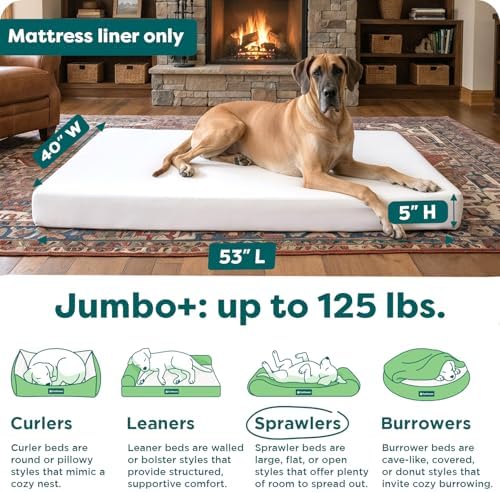 Furhaven Dog Bed Liner Water-Resistant Foam Mattress Protector Cover - White, Jumbo Plus - Image 3