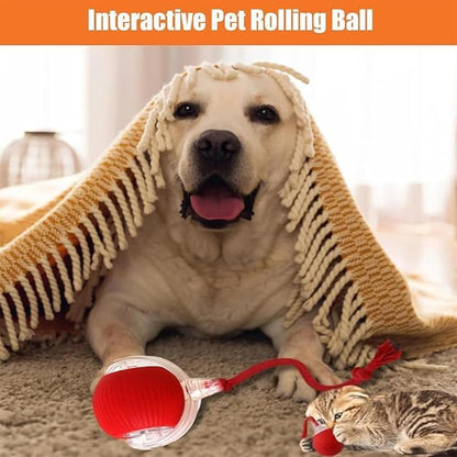 Valentines Day Gifts 2025 New Electric Dog Ball Toy,Electric Ball Dog Toy for Cat,360° Smart Automatic Interactive Rolling Dog Ball, Smart Interactive Pet Toy Ball,Automatic Dog Toy
