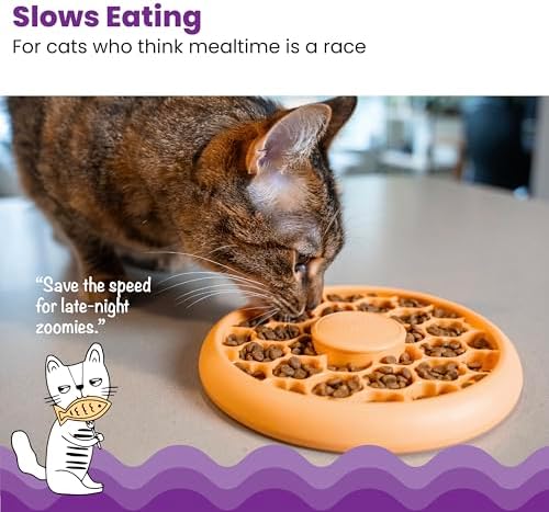 Catstages Slow Feeder Bowl & Treat Puzzle Cat Toy, Aids Digestion, 6.6" - Image 2