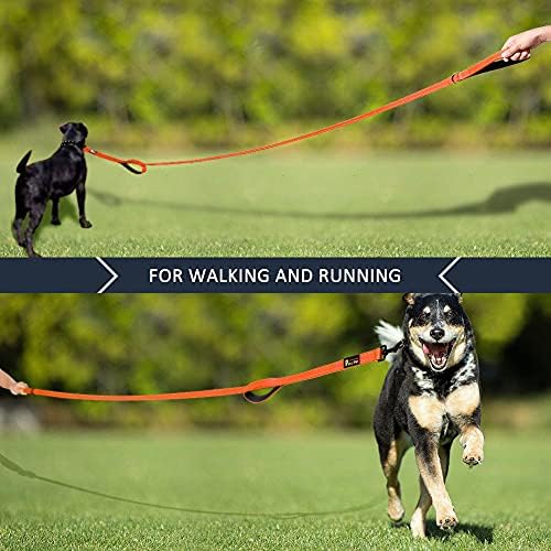 Plutus Pet Double Handle Dog Leash, 4 FT Long, for Medium Large Dogs - Image 7