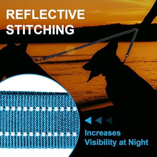 MingXpet Double Dog Leash for Two Dogs, No Pull Dog Leash, 360° Swivel No Tangle for Medium Dogs Walking & Training, Shock Absorbing Reflective Bungee, Blue - Image 5