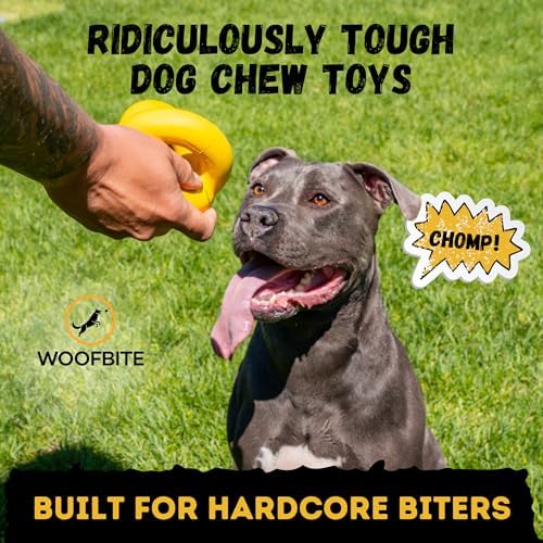 Indestructible Dog Ball - Lifetime Replacement - Durable Dog Toy for Aggressive Chewers - Safe, Non-Toxic Natural Rubber - Chew, Tug & Fetch - Tough, Heavy Duty Chew Toy - 4” (Softball Size) - Image 2