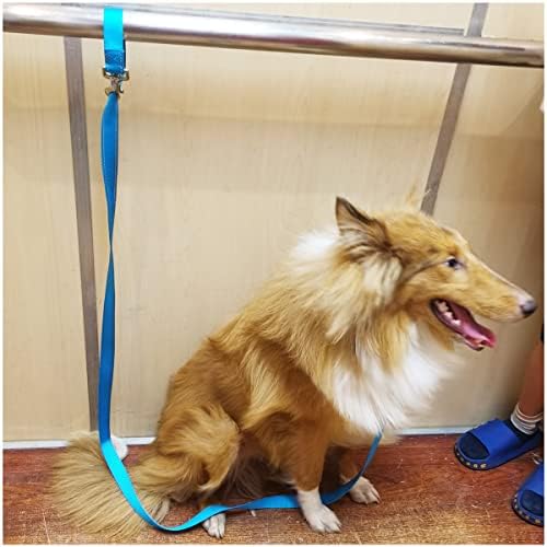 6FT Tie Out Dog Leash Dog Tie down 1"Wide Reflective Nylon Tether - Image 7