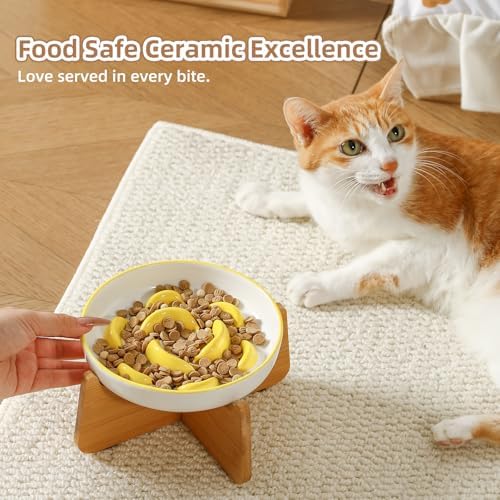 Ceramic Slow Feeder Cat Bowl, 6.3'' Wide Whisker Friendly Cat Puzzle Feeder - Image 6