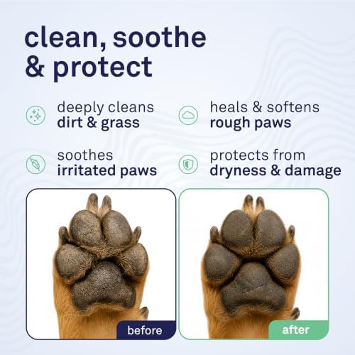 Petpost Large Paw Wipes for Dogs | 70 Count Dog Paw Cleaner Wipes with Aloe Vera, Witch Hazel & Cocoa Butter | Gentle Pet Wipes for Paws | Ultra Soft Cotton Pads - Image 2