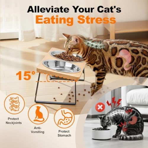 Elevated Cat Food Bowl for Indoor Cats, Raised Water Bowl Set for Kitten - Image 2